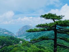 -黄山风景区