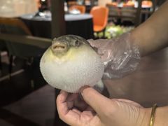 -肆月河豚·淮扬菜·湘菜(华天店)