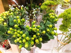 -花邻FloweringLife花艺气球派对(武康大楼店)