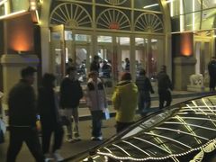 -龙江大舞台旗舰店