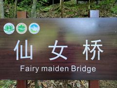 -燕子河大峡谷天坑仙境