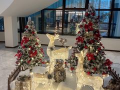 -静之湖湖畔餐厅