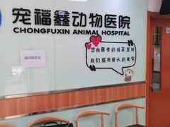 -宠福鑫动物医院(城北分院)
