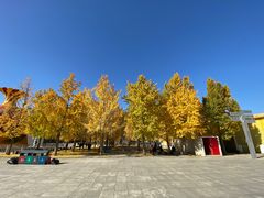 -国家会议中心大酒店