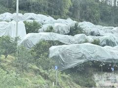 -樱桃山旅游景区