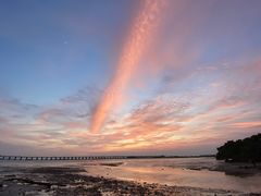 -宝安西湾红树林湿地公园