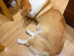 -阿木舂记·特色小吃(平江路店)