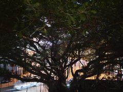 -福州大戏院