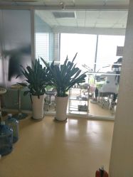 -苗方清颜专业祛痘连锁机构
