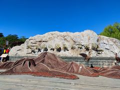 -北京西山国家森林公园