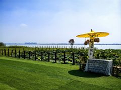 -七的湖·晚芳亭·阳澄湖农家菜·大闸蟹(莲花岛店)