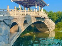 -东湖落雁景区