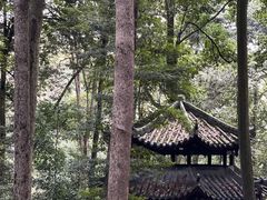 -都江堰普照寺