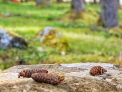 -硗碛藏寨·神木垒景区