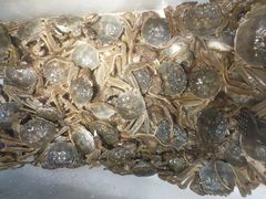 活蟹-苏格里岛自助烧烤火锅(花果园兰花广场店)