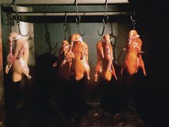 -桐爷小馆(广渠门店)