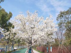 -滴水湖