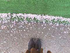 -西北湖绿化广场