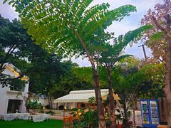 -柠檬花院烤肉·会议团建·聚会·求婚(三圣乡店)
