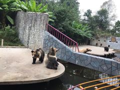 -贵州森林野生动物园