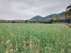 -红山村