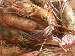 -金狮国际酒店自助餐(金狮店)