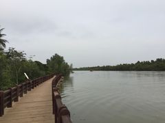 红树林-东寨港红树林旅游区