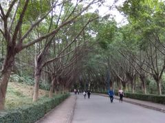 -滴水岩森林公园