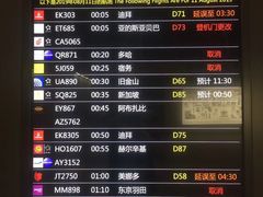 -上海浦东国际机场-T2航站楼