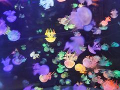 -邯郸海洋世界