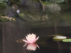 -望江楼公园