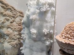 -河南自然博物馆