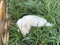 -李叔同故居纪念馆