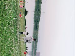 -灞河西岸滨河公园