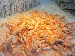 -圣罗巴海鲜烤肉自助(佳兆业店)