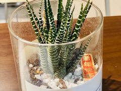 -Fridi Patisserie Cafe