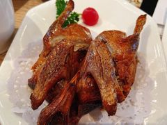 红烧妙龄鸽-粤仔湾砂锅粥(阳光店)