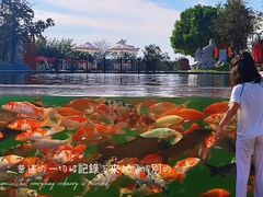 -南京银杏湖乐园