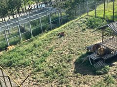 -青藏高原野生动物园