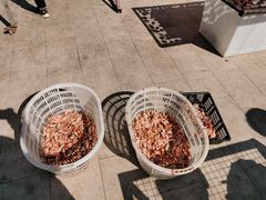 -大湾区中央湿地公园-十九涌