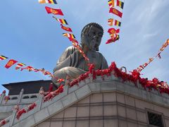 -龙口南山旅游景区