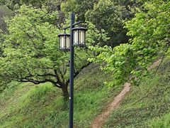 -苏州上方山国家森林公园