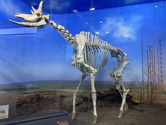 -国家自然博物馆