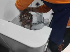 -汪小喵宠物·戴维斯乐芳希施宠馨宝皮毛调理洗护店