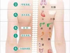 -裕和堂中医推拿艾灸(太古汇臻品店)
