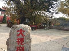 -大槐树寻根祭祖园