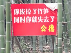 -南京市无想山景区