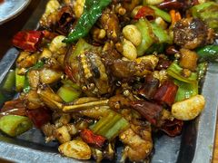 辣炒牛蛙-陈氏肥蛤(小纬六路总店)