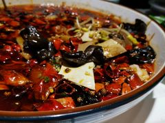 -雲蜀龙阁·金牌水煮鱼(方庄店)