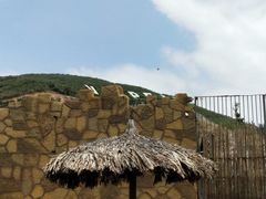 -芽庄珍珠岛游乐园